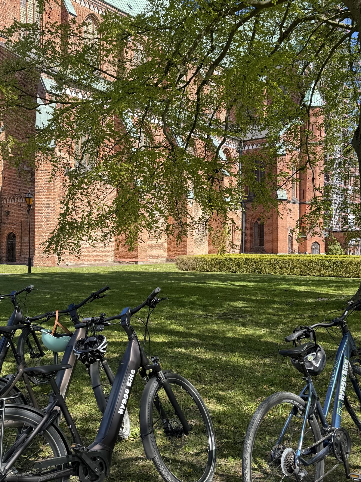E-Bikes vor dem Doberaner Münster in Bad Doberan