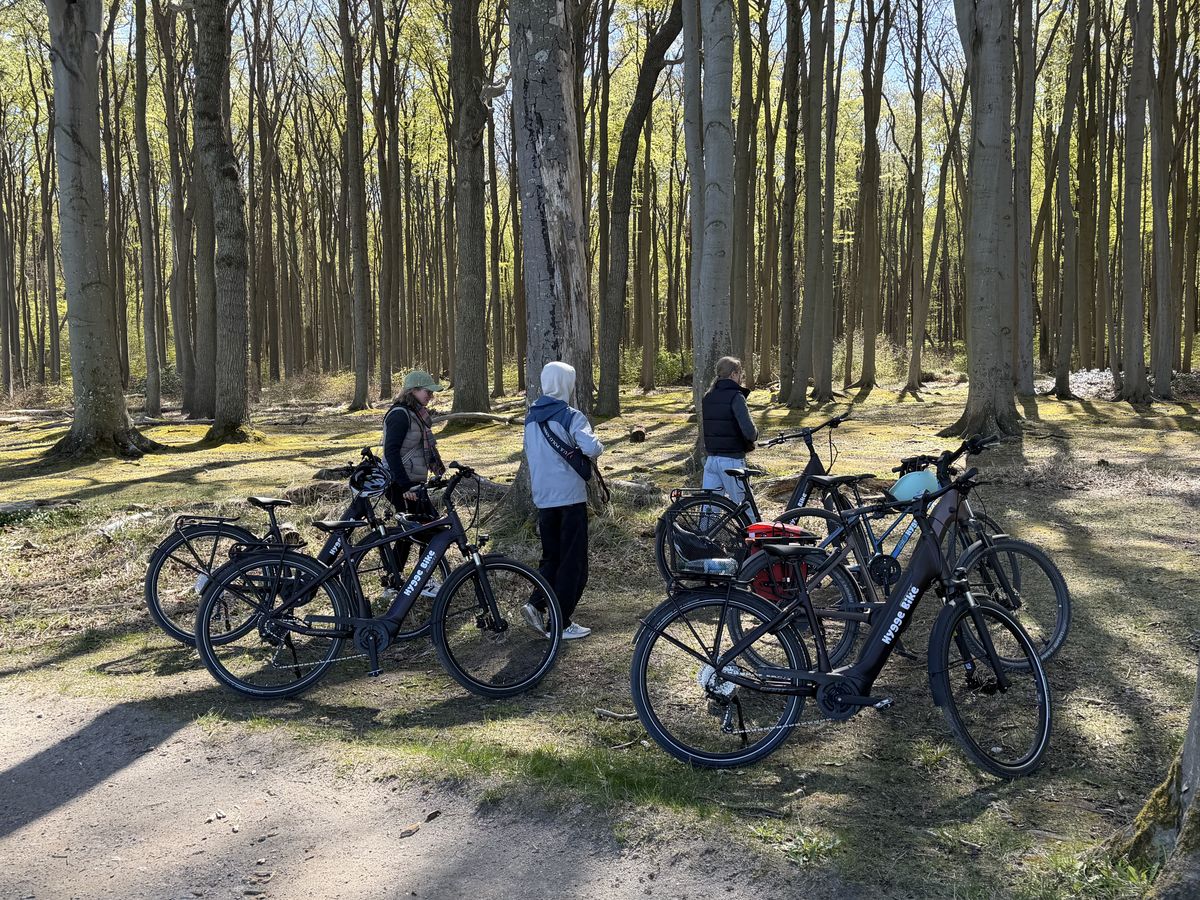 Gruppe bei der geführten E‑Bike-Tour im Gespensterwald