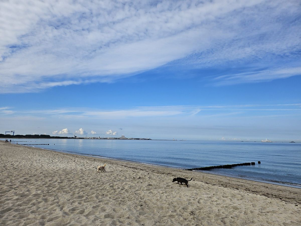 Strand bei Hohe Düne auf dem Weg nach Markgrafenheide