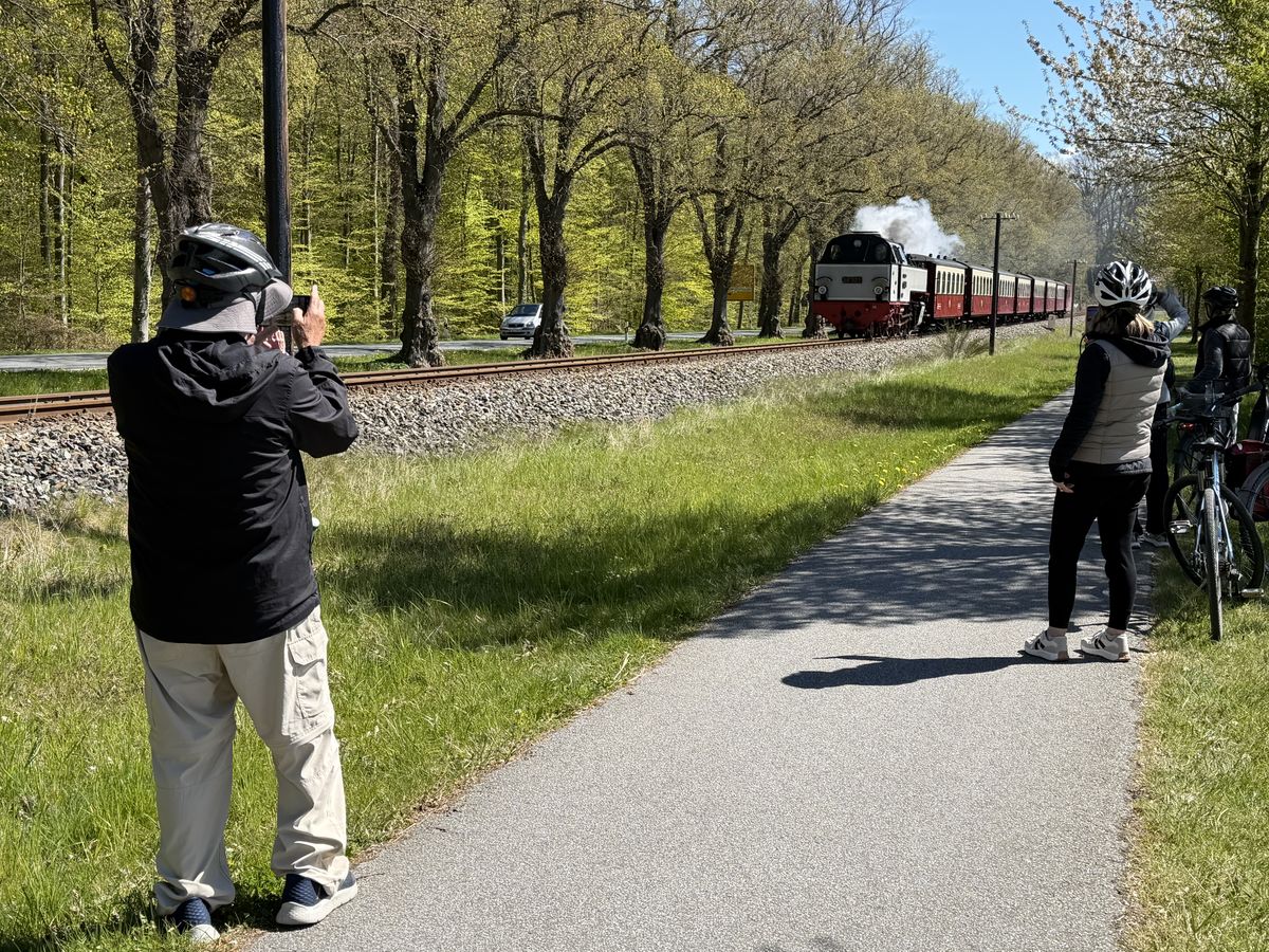 Radweg an der Bäderbahn Molli Richtung Heiligendamm